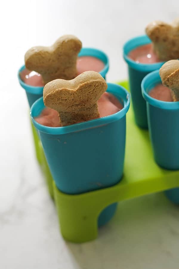 dog popsicles in moulds.