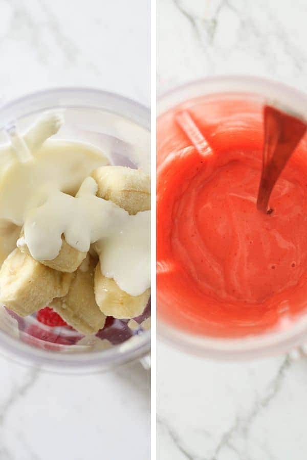 dog popsicle ingredients in a blender cup. 