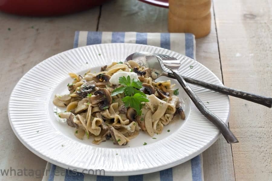 Vegetarian Mushroom Stroganoff