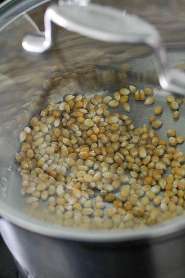 popcorn kernels in a saucepan.