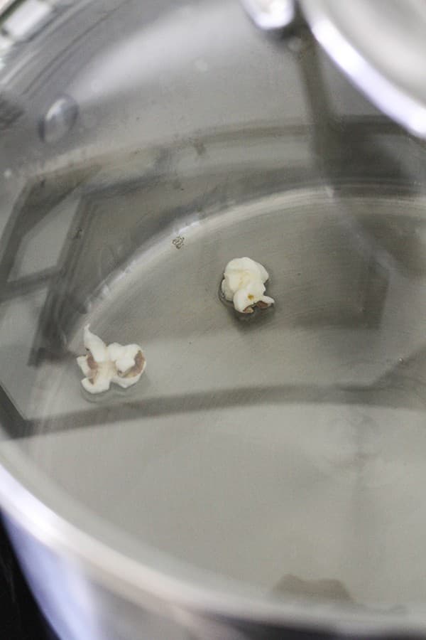 2 popcorn pieces in a saucepan.