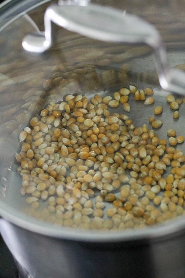 popcorn kernels in a saucepan.