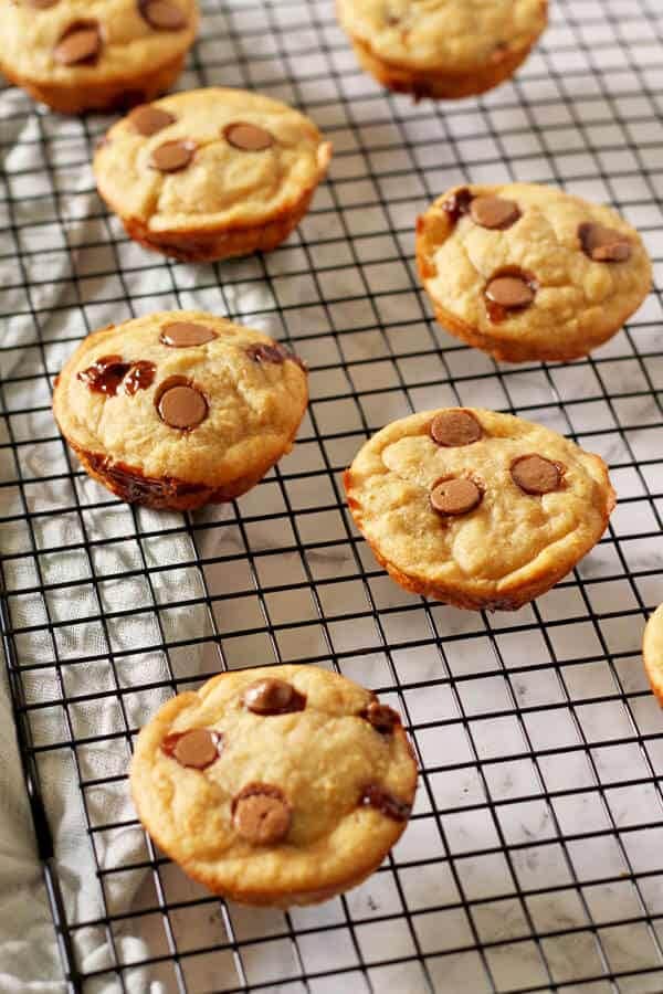 healthy banana chocolate chip muffins on a cooling rack